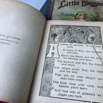 Great! Large Lot of Antique and Vintage Children's Books