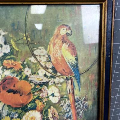 Still Life with a Parrot 