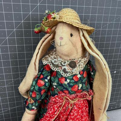 Bunny 