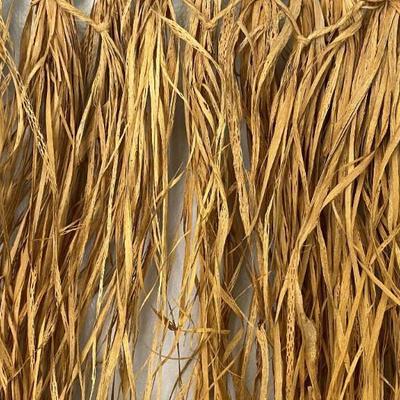 WWII WW2 HAWAIIAN GRASS SKIRT GI SOUVENIR 1944