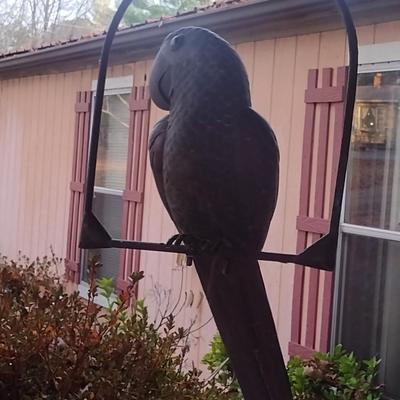 Metal Parrot on Hanging Perch- Approx 34