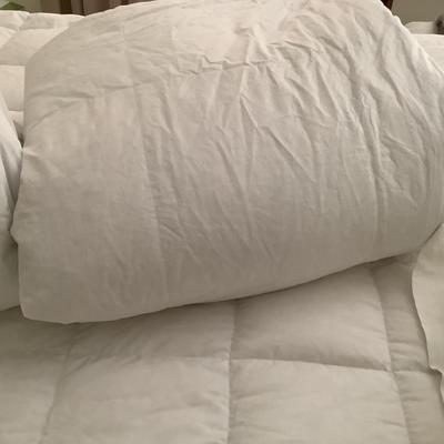 457 Queen Down Comforter with Bedding and Shams