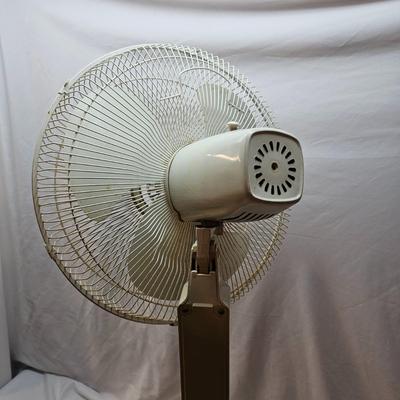 Pair of Fans  (BO-JS)