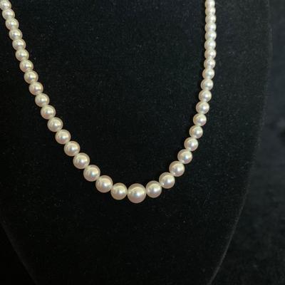 14K Gold Pearl Earrings & Necklace (MB-HS)