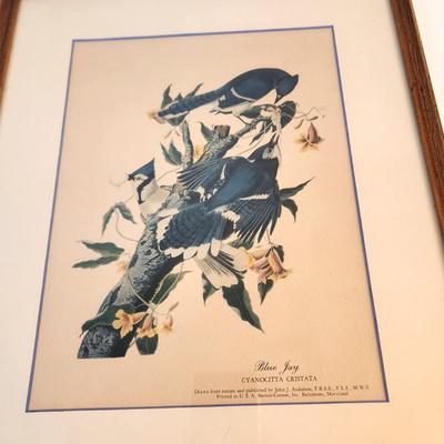 Lot #29D  John James Audubon Print - Blue Jay - reprinted by Barton-Cotton, Inc.