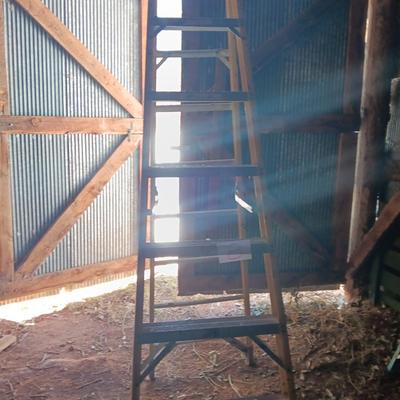 Extra Heavy Duty Professional use 8-foot Fiberglass Wener Ladder