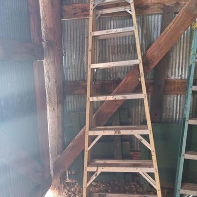 Extra Heavy Duty Professional use 8-foot Fiberglass Wener Ladder