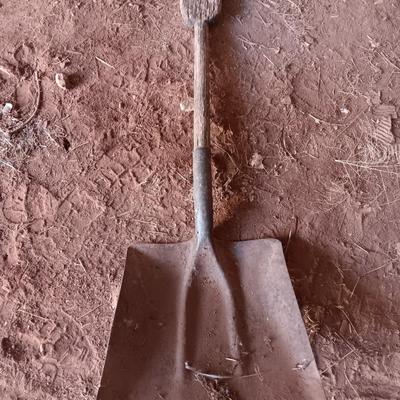 8 Foot antique orchard ladder with antique wooden handled shovel