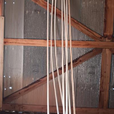 Seven 1" -20 PVC pipes