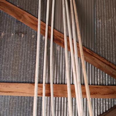 Seven 1" -20 PVC pipes