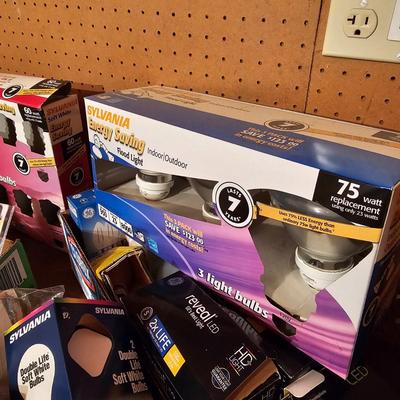 Large Assortment of Light Bulbs (G1-JS)