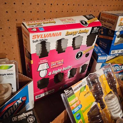 Large Assortment of Light Bulbs (G1-JS)