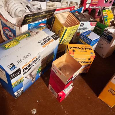 Large Assortment of Light Bulbs (G1-JS)