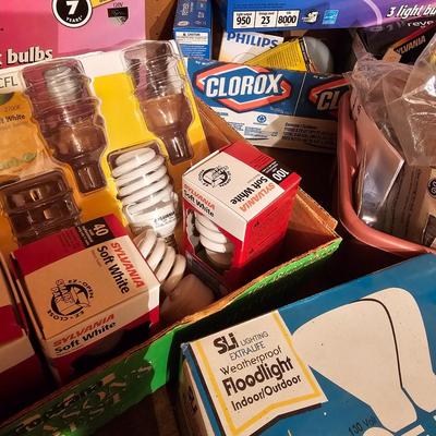 Large Assortment of Light Bulbs (G1-JS)