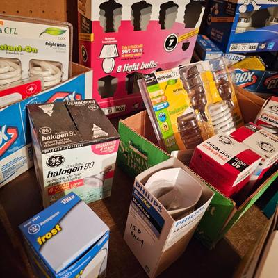 Large Assortment of Light Bulbs (G1-JS)