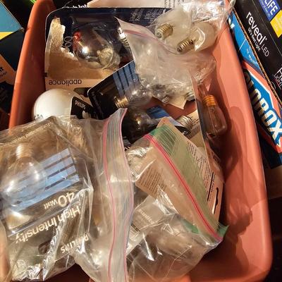 Large Assortment of Light Bulbs (G1-JS)