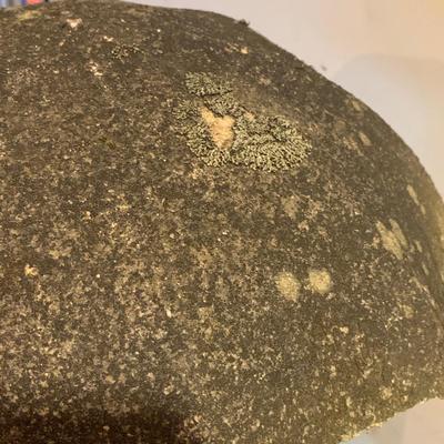 Frogs Under an Umbrella Garden Statue (LG-HS)