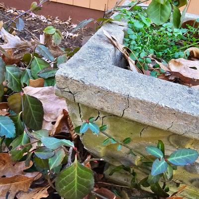 Two Decorative Concrete Planters  (FY-JS)