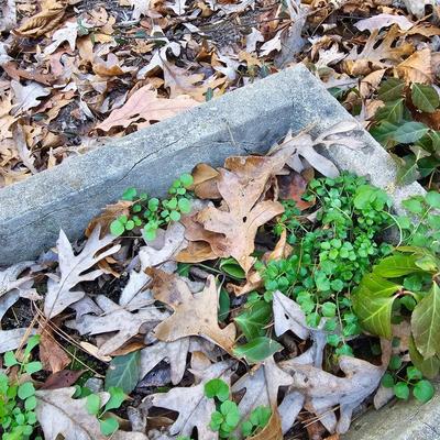 Two Decorative Concrete Planters  (FY-JS)
