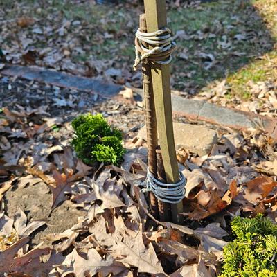 Three Double Shepherd Crooks + Hanging Lanterns (FY-JS)