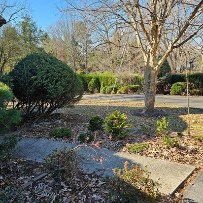 Three Double Shepherd Crooks + Hanging Lanterns (FY-JS)