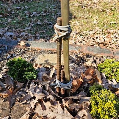 Three Double Shepherd Crooks + Hanging Lanterns (FY-JS)