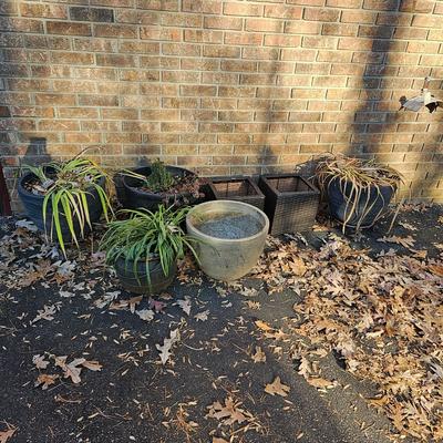 Seven Decorative Planters + More (LG-JS)