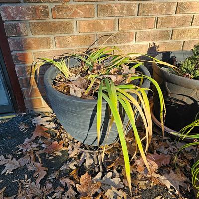 Seven Decorative Planters + More (LG-JS)