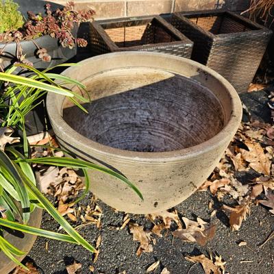 Seven Decorative Planters + More (LG-JS)