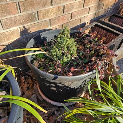 Seven Decorative Planters + More (LG-JS)