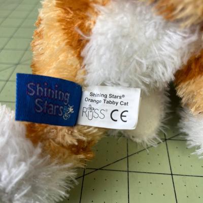 Shining Stars - Orange Tabby Cat