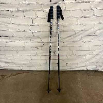 41" Rocker Ski Poles