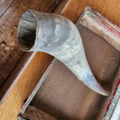 Three Vintage Boxes and a Horn