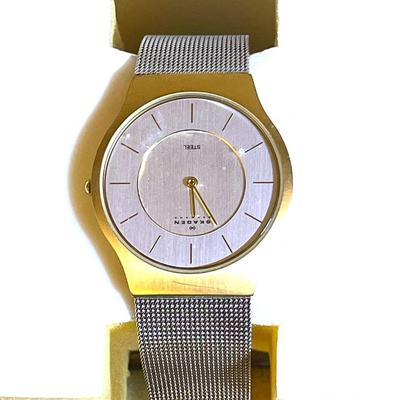 35.  SKAGEN DENMARK MENS WRISTWATCH BOX & BOOKLET STAINLESS STEEL MESH