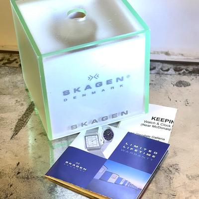 35.  SKAGEN DENMARK MENS WRISTWATCH BOX & BOOKLET STAINLESS STEEL MESH