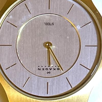 35.  SKAGEN DENMARK MENS WRISTWATCH BOX & BOOKLET STAINLESS STEEL MESH