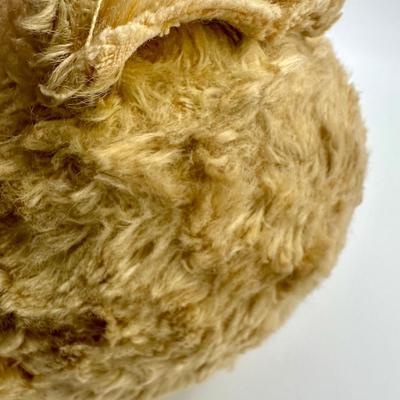 1950â€™s Vintage German Teddy Bear