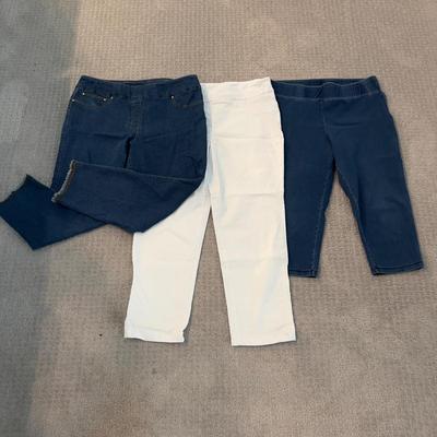 511 Set of 3 Pairs of Ruby Rd. Pull on Jean Pants