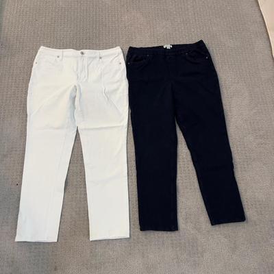 513 COLDWATER CREEK Jeans size 16