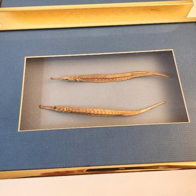 Lot #58 Shadow Boxes with Shells - Wall Decor