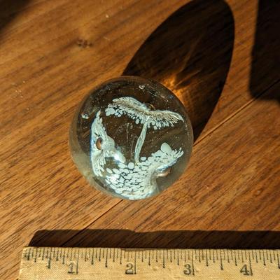 Exquisite Jack in the Pulpit Paper Weight