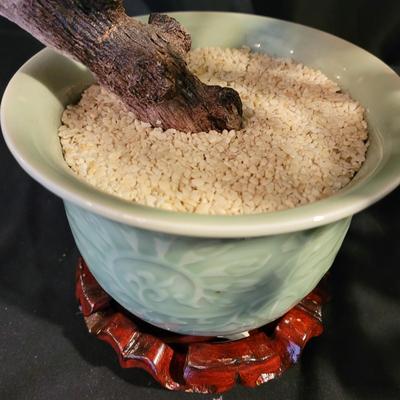 Chinese Bonsai Tree in Ceramic Vase (SR-CE)