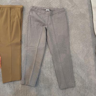 568 J.Jill Cotton Spandex Pants with Orange Floral Scarf
