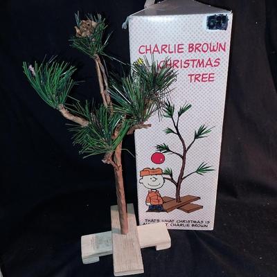 CHARLIE BROWNS CHRISTMAS AND SNOOPY TOO