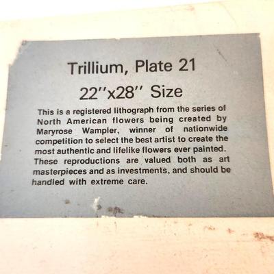 Lot #82 Maryrose Wampler Lithograph "Trillium" - signed/numbered.