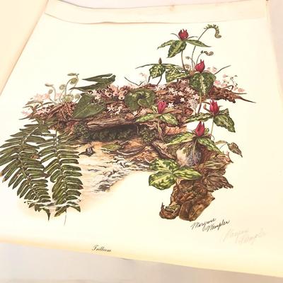Lot #82 Maryrose Wampler Lithograph "Trillium" - signed/numbered.