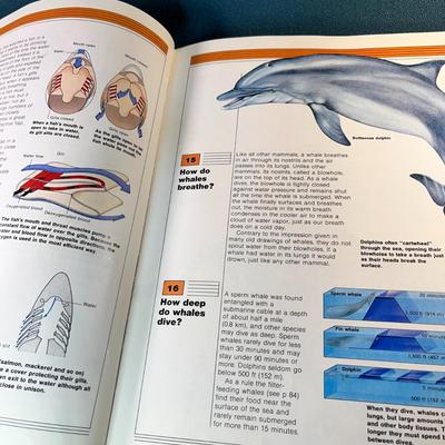 "DO ANIMALS DREAM?" CHILDREN'S QUESTIONS ABOUT ANIMALS BOOK by JOYCE POPE