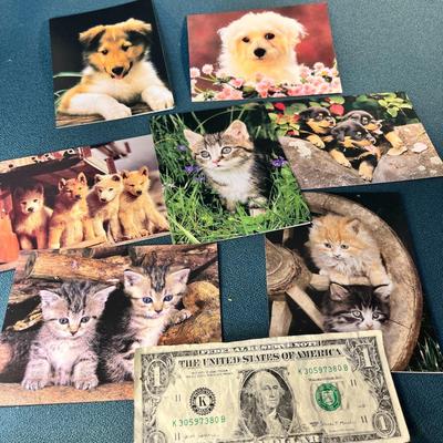 SET OF 7 ADORABLE PUPPY AND KITTEN CARDS BLANK INSIDE