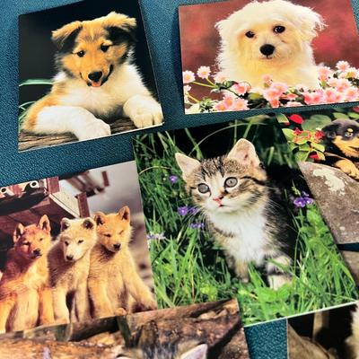SET OF 7 ADORABLE PUPPY AND KITTEN CARDS BLANK INSIDE