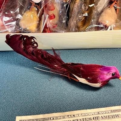REAL FEATHER EXOTIC BIRD ORNAMENTS 12 COUNT NEW IN PACKAGE